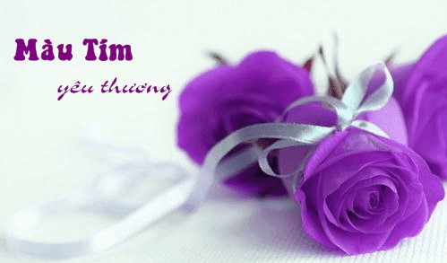 Yêu màu tím