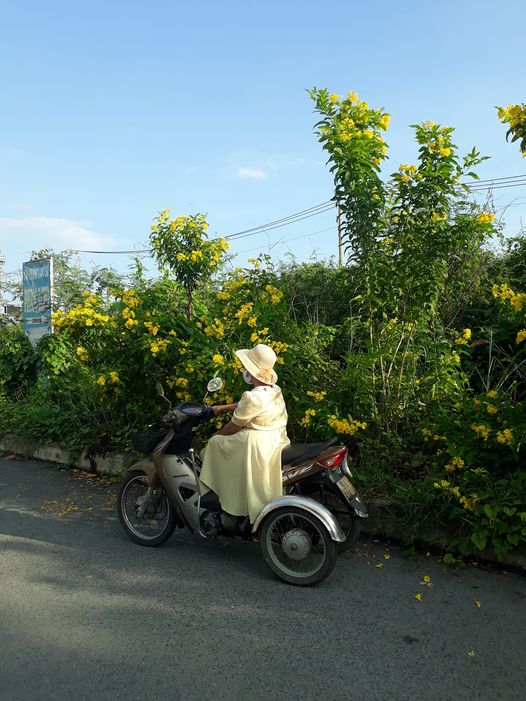 Bóng chiều