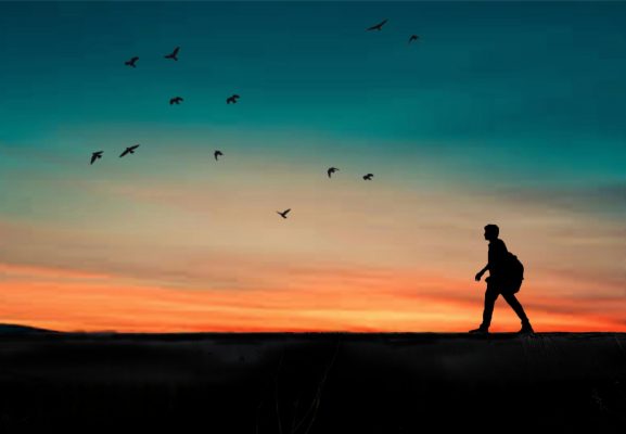 Ta cứ mãi đi tìm